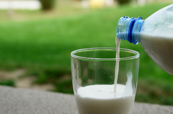 Диетолог Суржик заявила, что в день нужно съедать три порции молочных продуктов