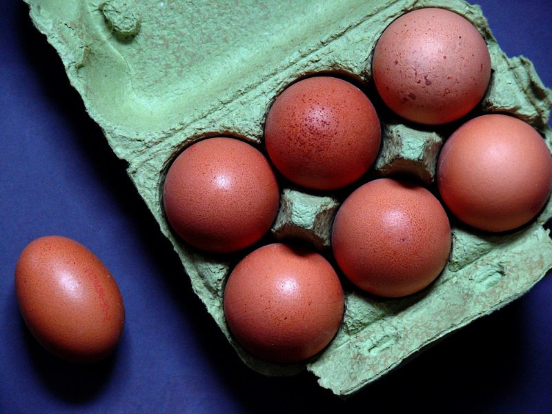Доктор Лебедева назвала авокадо с яйцами сытным завтраком для худеющих