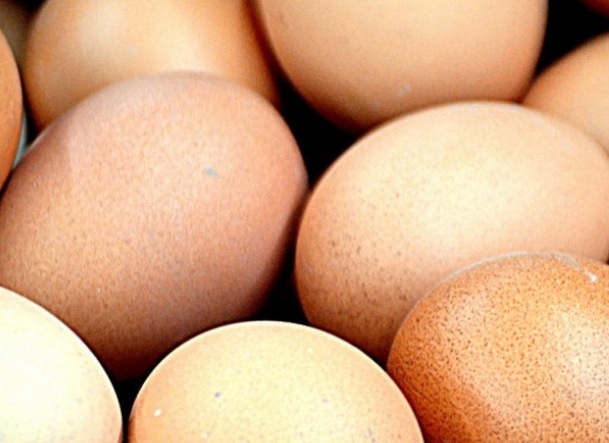 Врачи назвали главные причины не употреблять яйца
