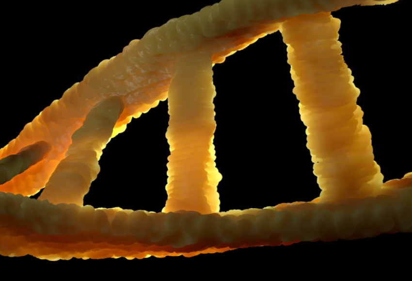 Ученые нашли связь между качеством питания и изменениями в человеческом гене