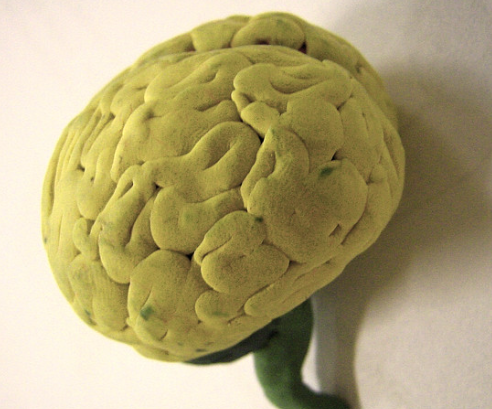 Компания Neuralink не может решить многолетнюю проблему с мозговыми имплантами