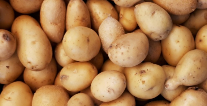 Врач Лазуренко предупредила, что картофель может спровоцировать атеросклероз