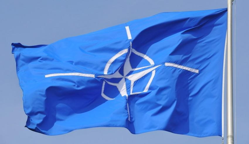 Риттер: Раскол НАТО неизбежен в ближайшие годы