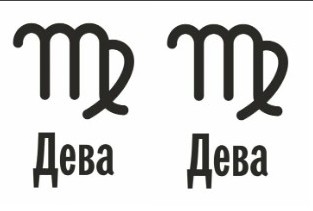 Совместимость Дева и Дева: характеристика союза