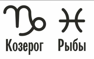 Совместимость Козерог и Рыбы: характеристика союза