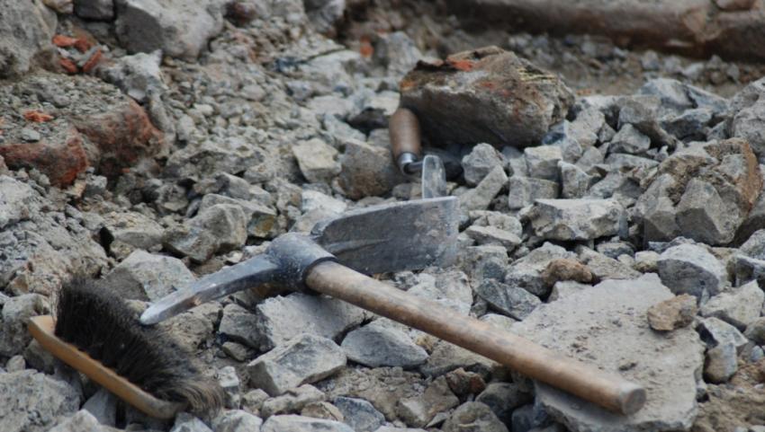 Обезглавленная ископаемая рыба с сохранившимися внутренностями раскрывает древние хищные привычки