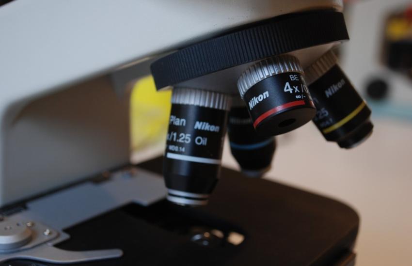 Шведские учёные создали таблетку, которая снизила сахар и ускорила сжигание жира