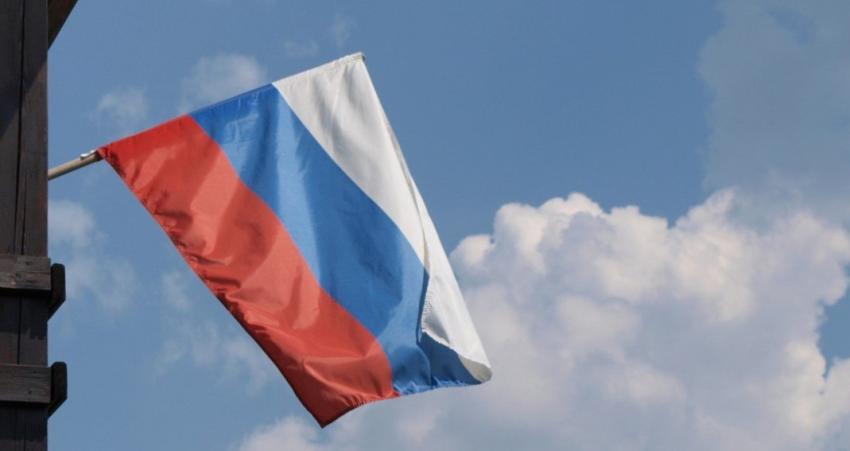 Россия продлила повышенные пошлины на лесоматериалы до конца 2028 года