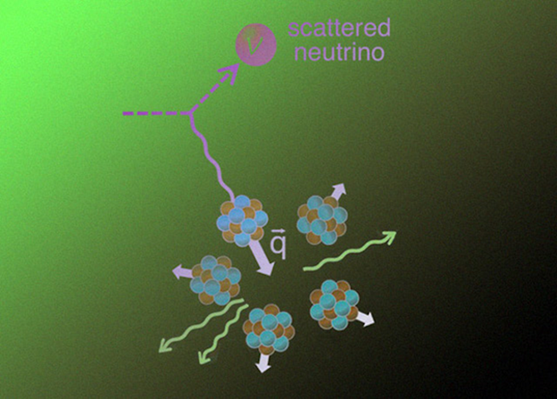 Упрощенная схема когерентного упругого рассеяния нейтрино на тяжелых ядрах. D. Akimov et. al.  Science