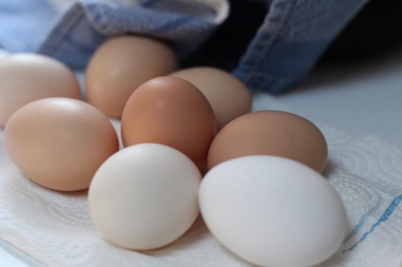 Гастроэнтеролог Кашух рассказала, с какими продуктами нельзя сочетать яйца